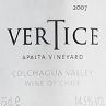 Ventisquero Vertice 2007